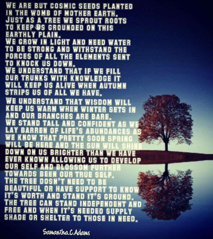We are a Tree of all life