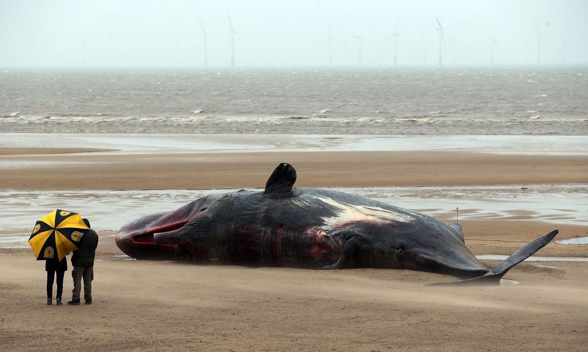 19.30 - 4 Feb 2016 On A Beach In Norfolk