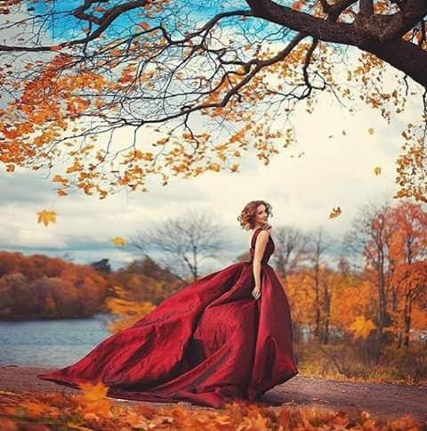 Let your gentleness be known