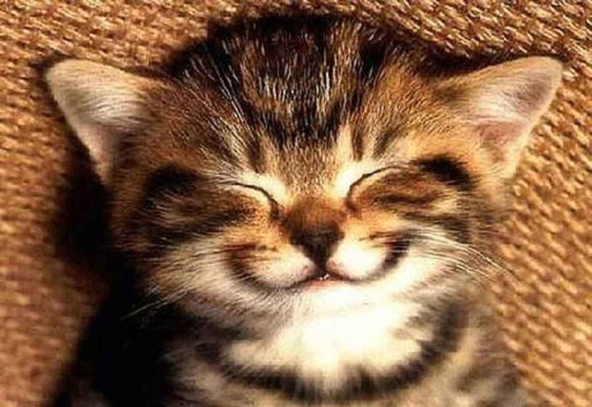 What Your Smile Can Do