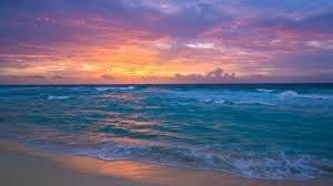 Ocean Voices