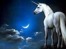 THE UNICORN IN MY DREAM