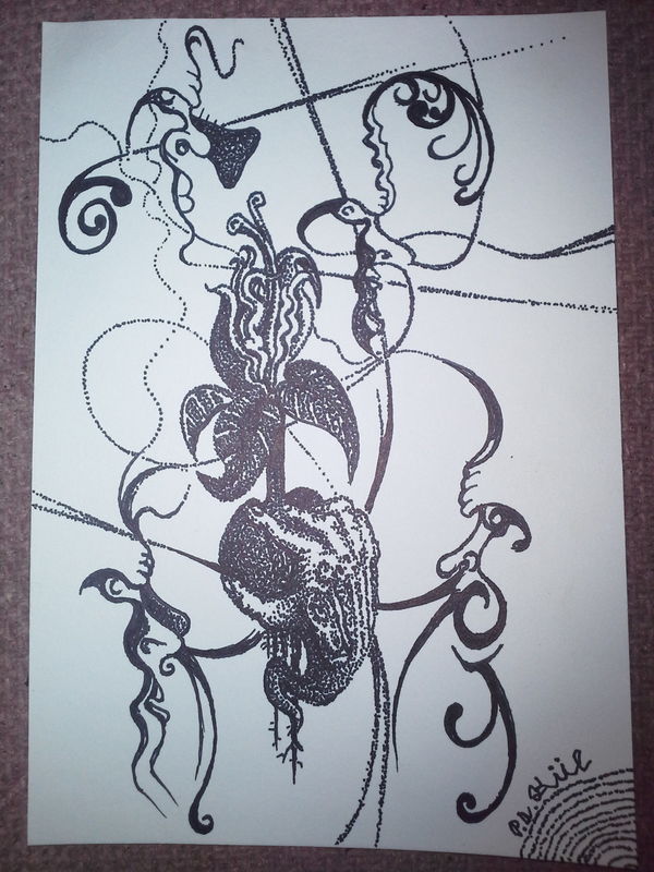 Germination of the font flower! 
