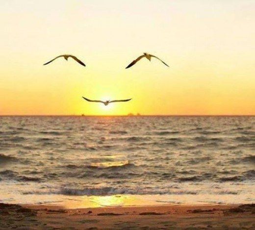 I'd Smile for You my Whole Life Long...