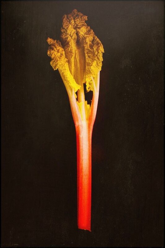 'Don't eat the rhubarb leaves'