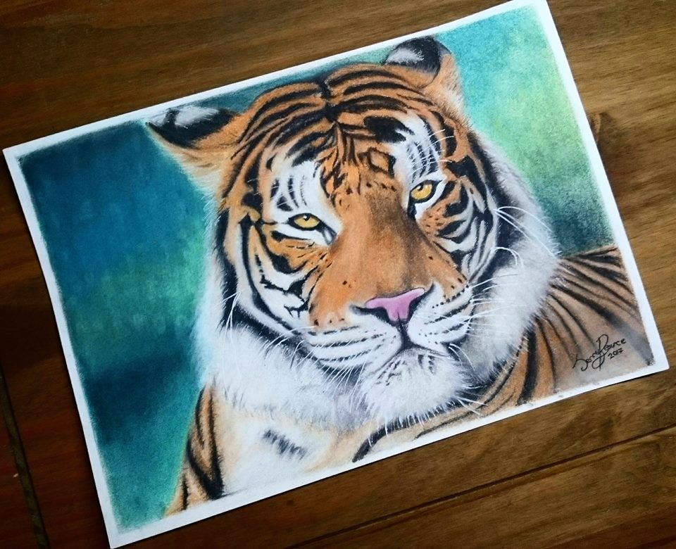 Bengal Tiger