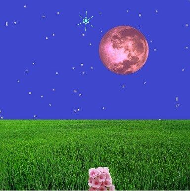 APRIL&#039;S PINK FULL MOON