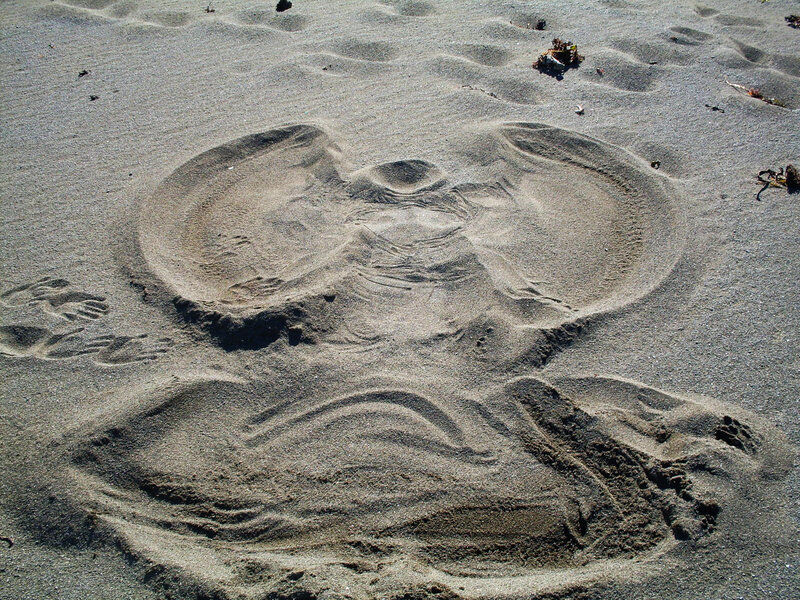 Angels In The Sand