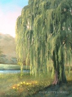 Willows From The South
