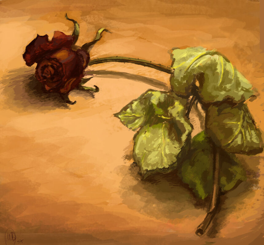 Ritual Reblooming