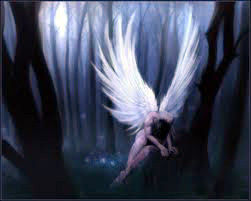 An angel’s Wing