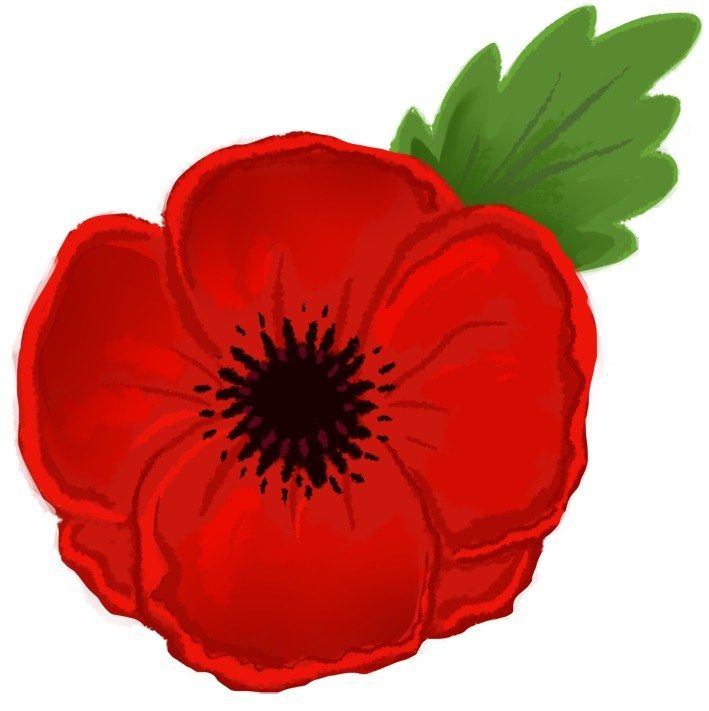 Red Poppies Red Poppies