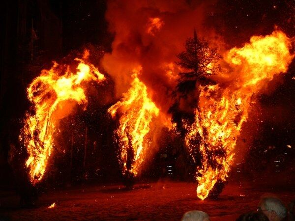 Burning Pine
