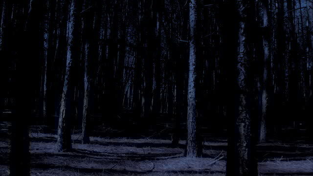 Mental Wilderness