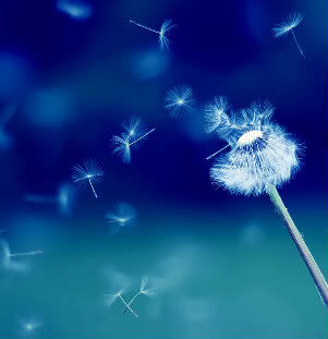 "I Wish..."