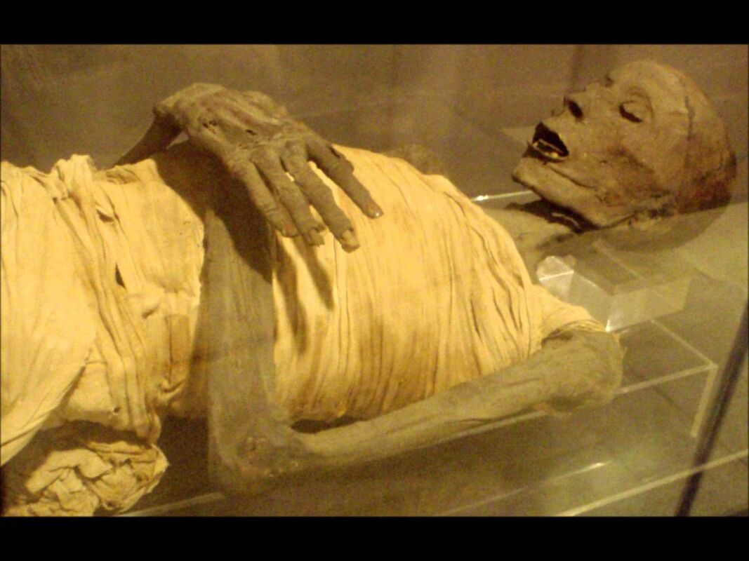 Rigamortis