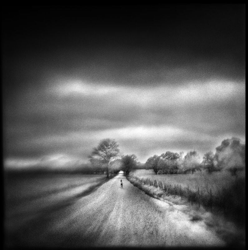 Transience Part Five (15 Word Challenge) 