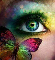 Butterfly's eye