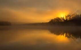 PLACID