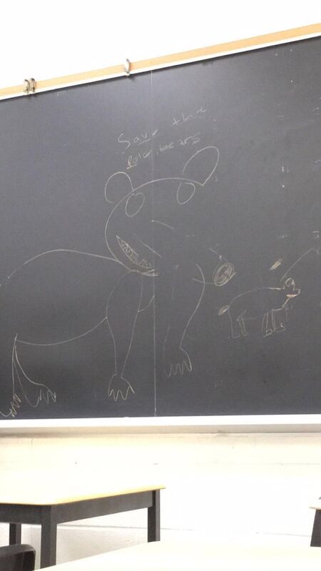 save the polar bears