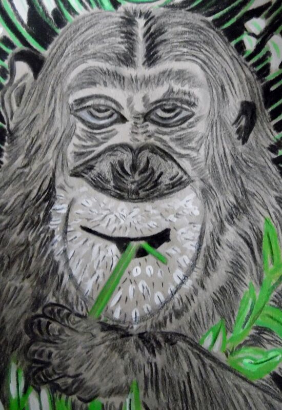 Monkey eating Grass