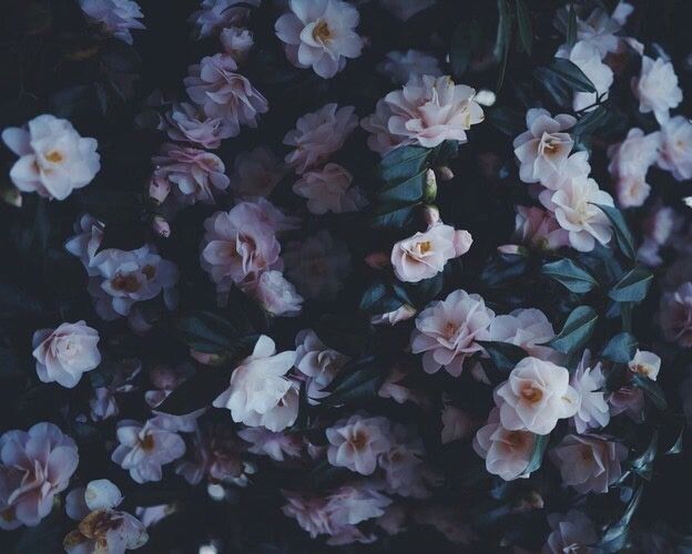 I was - She is