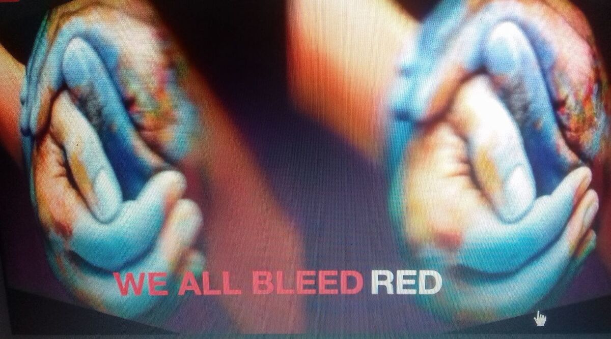 WE ALL BLEED RED