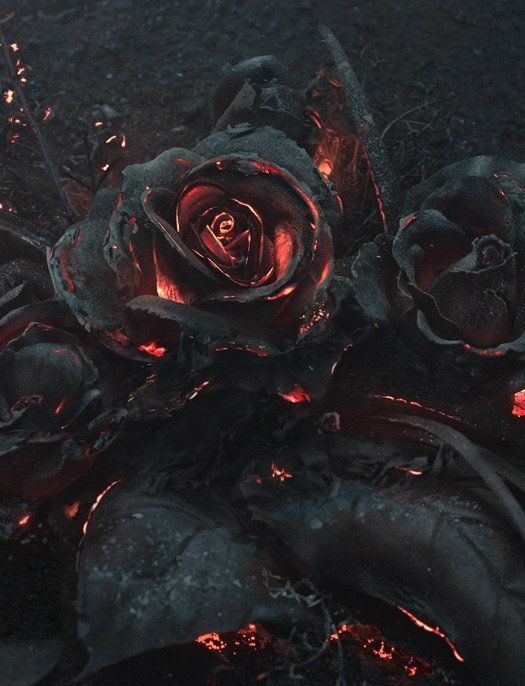 EMBERS OF DECEPTION