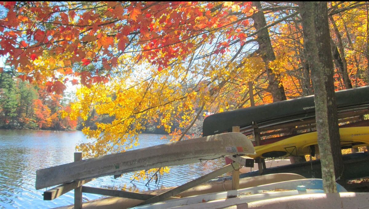 The boat