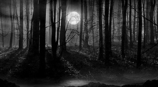 The Woods The Woods