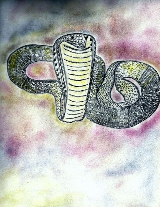 Cobra