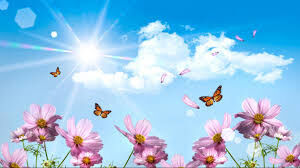 Battle Flower Field