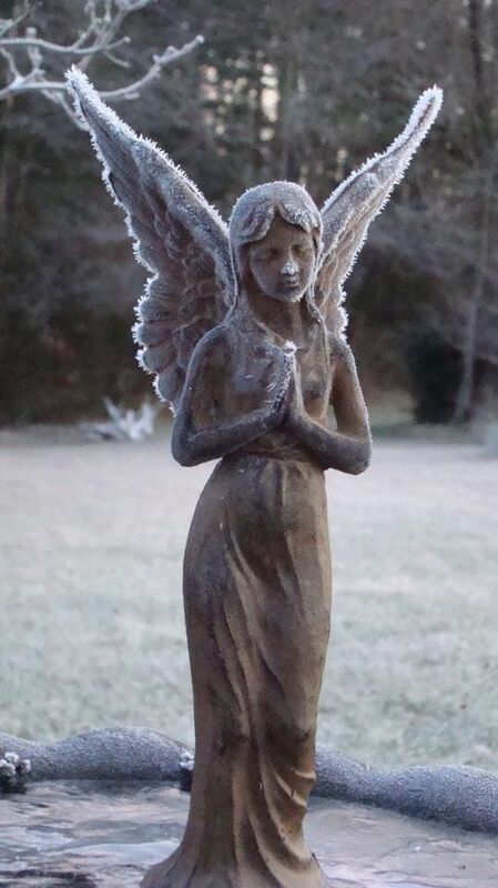 Morning frost
