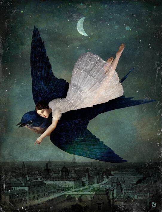 My Raven