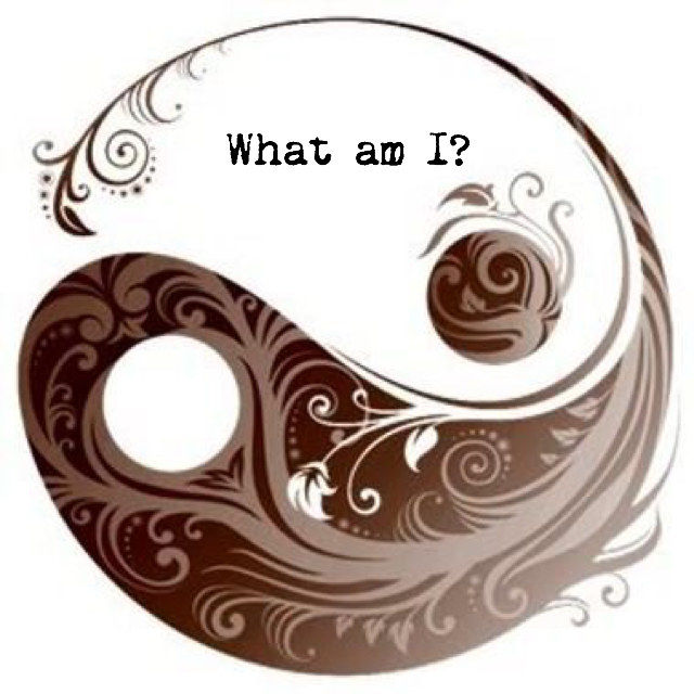What am I?