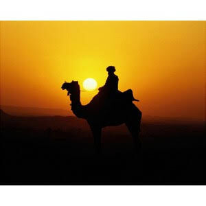 Bedouin desert