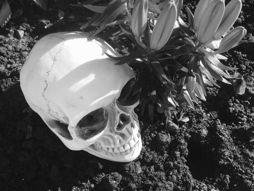 Pilgrimage of despair.