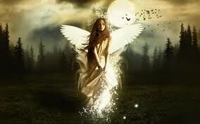 From The Ashes Came The Angels