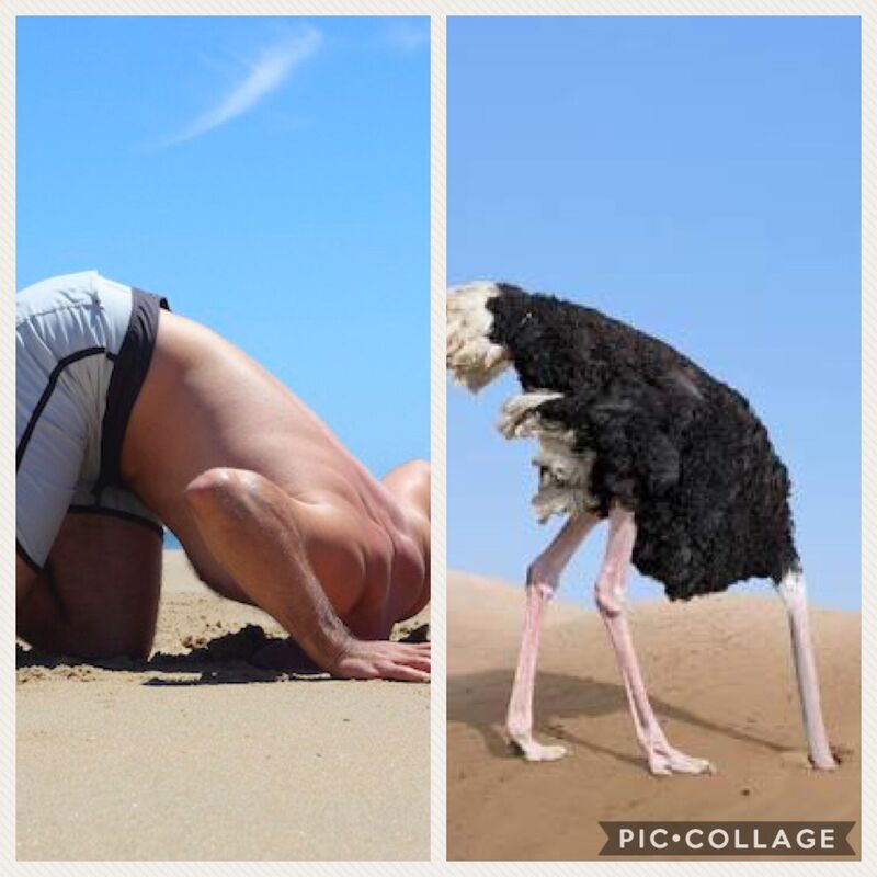 OSTRICH