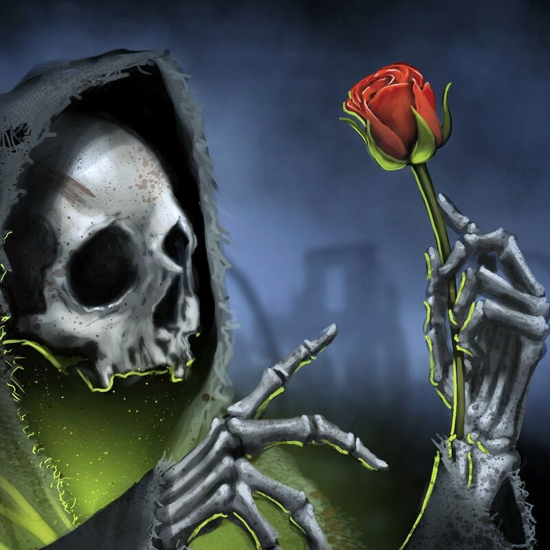 Death Toll