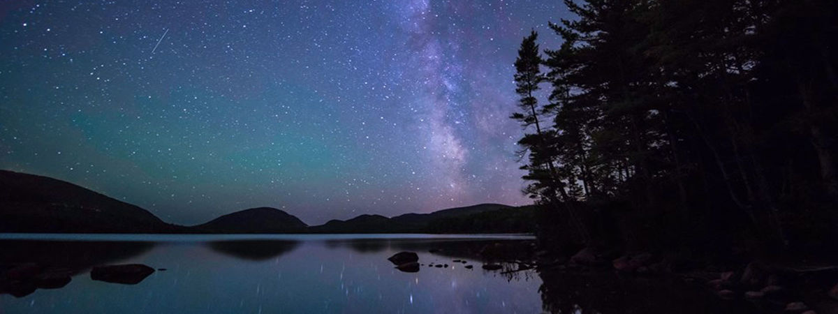 My Dearest Acquaintance