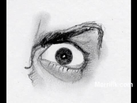 noctuary pt1