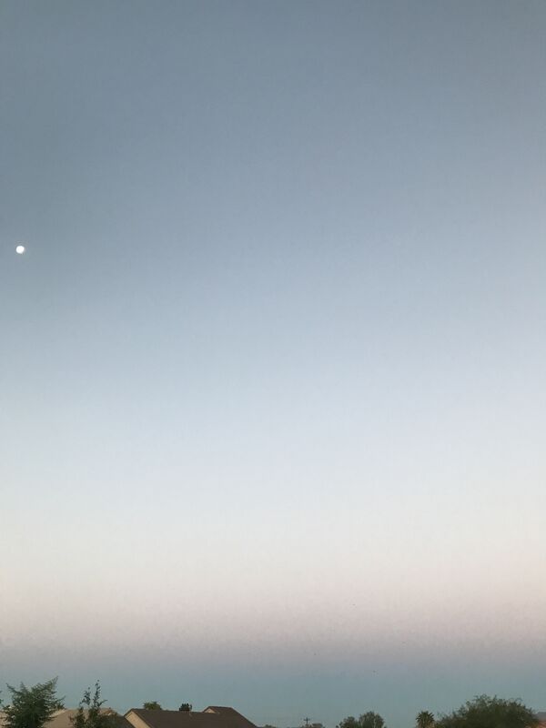 Stars