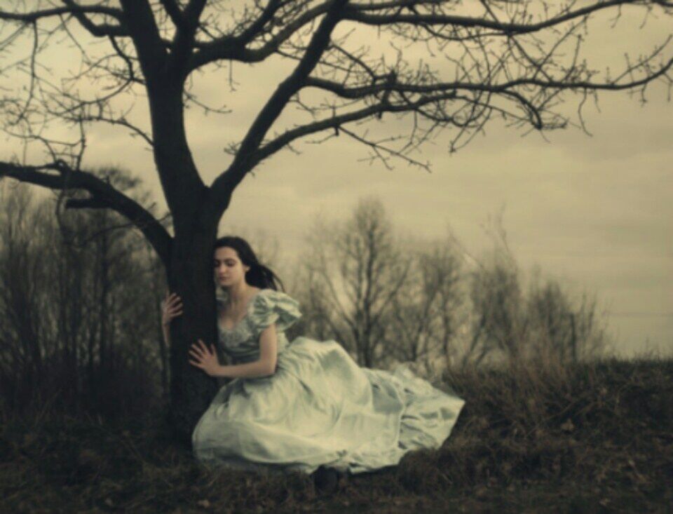 Lines Written Beneath a Tree