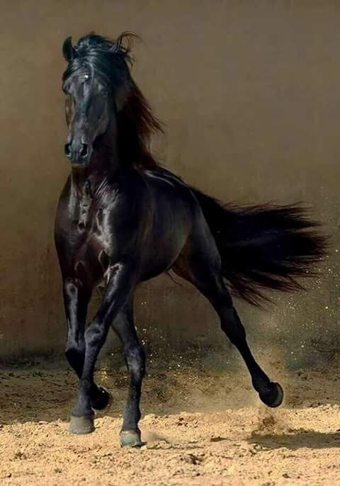 I will come back to you