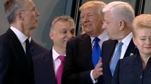 President THE Donald