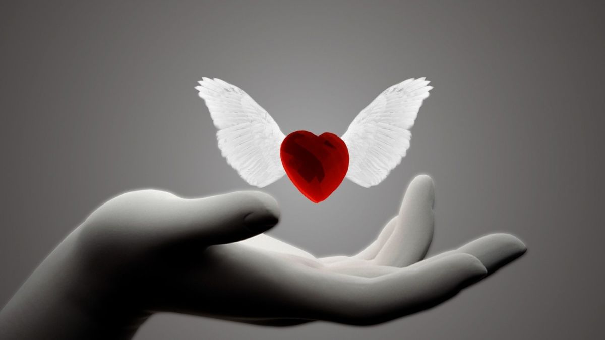I Live Through Your Love