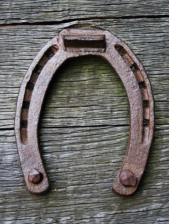 Lucky Horse Shoe