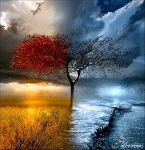 God Promises A New Season