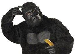 My mates a primate